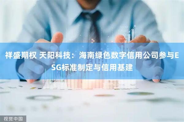 祥盛期权 天阳科技：海南绿色数字信用公司参与ESG标准制定与信用基建