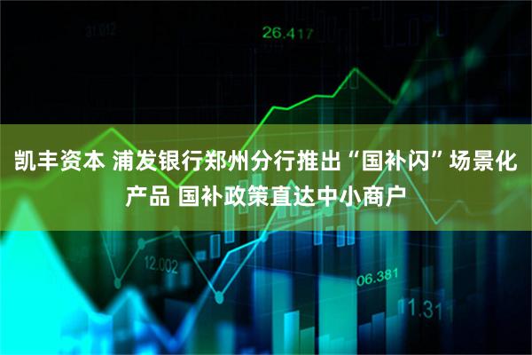 凯丰资本 浦发银行郑州分行推出“国补闪”场景化产品 国补政策直达中小商户